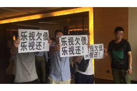 黄龙为什么选择专业追讨公司来处理您的债务纠纷？